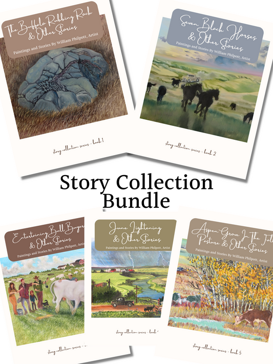 BUNDLE: 5 eBook Story Collection Series